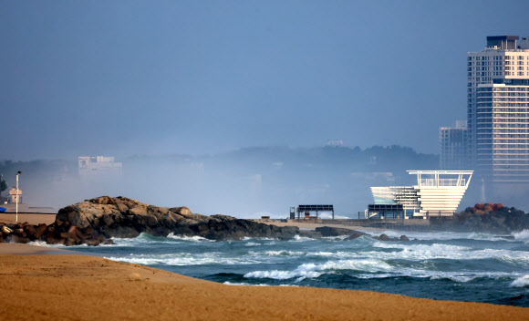 1일 강원 강릉시 사천항 일원에 해무가 끼어 있다. 2026.4.1 연합뉴스