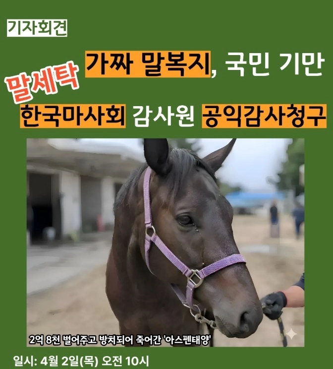 기자회견 안내 홍보물. 제주비건 제공