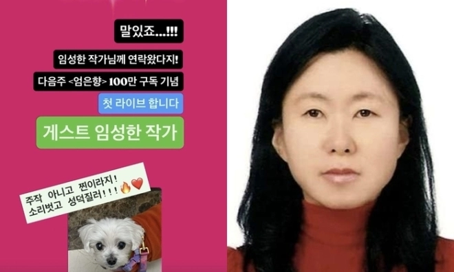 엄은향 인스타스토리, 임성한 작가 프로필