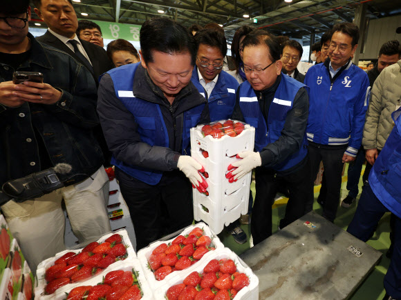 더불어민주당 정청래 대표와 민주당의 대구시장 후보로 확정된 김부겸 전 총리가 8일 오전 대구 북구 매천동 농수산물도매시장을 찾아 민생현장을 살피며 일손을 보태고 있다. 2026.4.8 연합뉴스