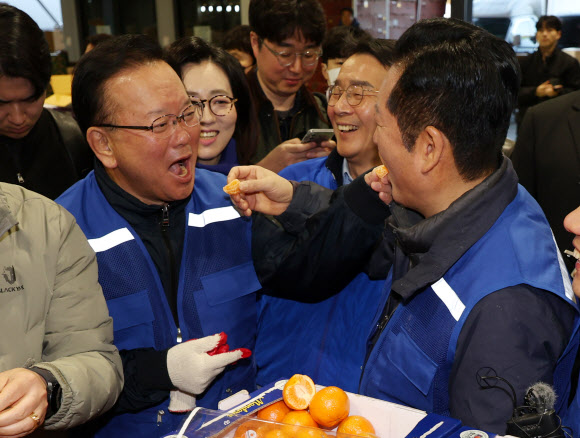 더불어민주당 정청래 대표와 민주당의 대구시장 후보로 확정된 김부겸 전 총리가 8일 오전 대구 북구 매천동 농수산물도매시장을 찾아 민생현장을 살피며 귤을 맛보고 있다. 2026.4.8 연합뉴스