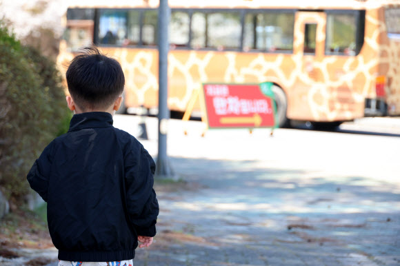8일 오전 늑대가 탈출한 대전 오월드가 영업을 긴급 중단한 가운데 대구에서 온 한 어린이가 오월드에 들어가지 못하고 멀리서 사파리 버스를 보고 있다. 2026.4.8 연합뉴스