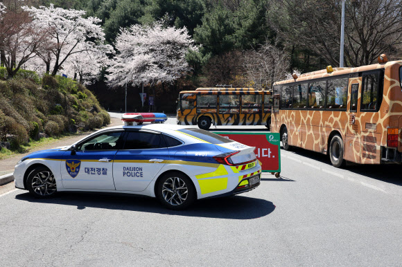 8일 오전 늑대가 탈출한 대전 오월드의 출입구가 통제되고 있다. 2026.4.8 연합뉴스