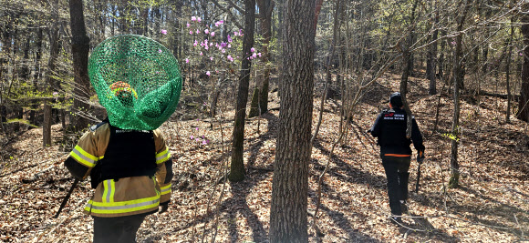 8일 오전 9시 30분께 대전 중구 사정동 오월드에서 늑대 1마리가 탈출했다. 오월드와 중구, 경찰, 소방 당국 등은 합동으로 수색 및 포획 작업에 나서고 있다. 늑대는 현재 오월드 밖 근처 사거리까지 나간 것으로 확인됐다. 사진은 오월드에서 늑대 수색하는 소방 당국. 2026.4.8. 대전소방본부 제공