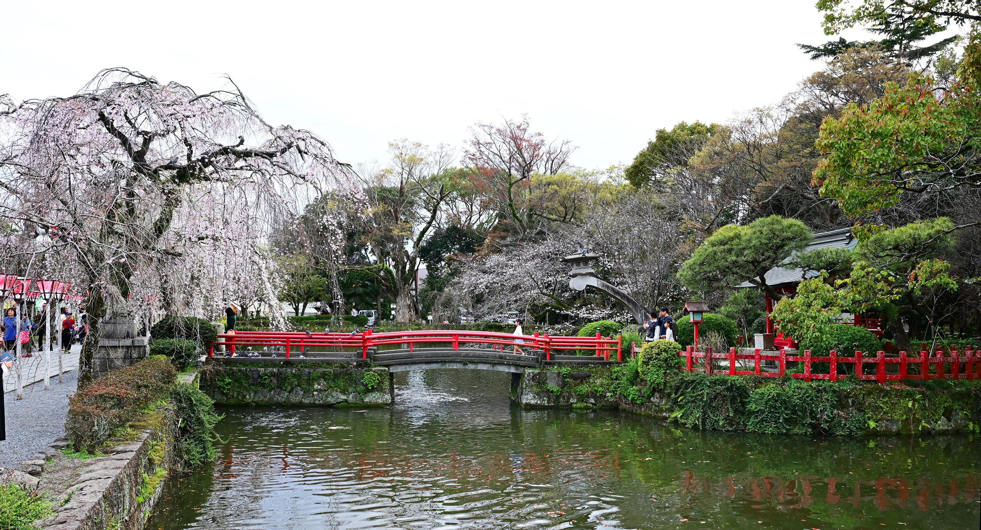 삼국시대 백제계 신을 모시는 미시마 타이샤.
