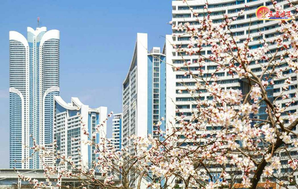 북한 노동당 기관지 노동신문은 13일 ‘수도 곳곳에 넘치는 봄향기’라는 제목의 기사를 통해 평양 시내 봄 풍경을 보도했다. 평양 노동신문 뉴스1