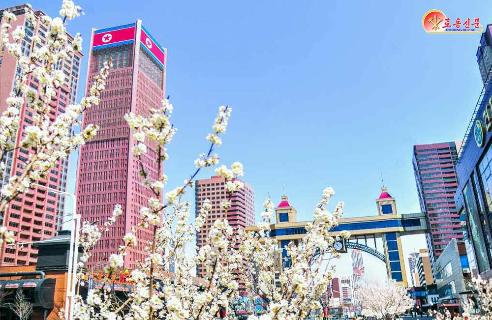 북한 노동당 기관지 노동신문은 13일 ‘수도 곳곳에 넘치는 봄향기’라는 제목의 기사를 통해 평양 시내 봄 풍경을 보도했다. 평양 노동신문 뉴스1