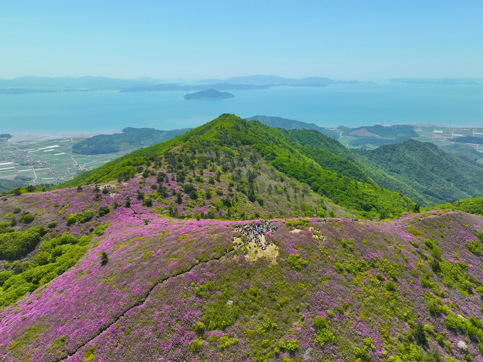 전국 최대 규모로 꼽히는 일림산 철쭉 군락