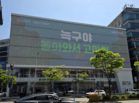 18일 대전 둔산동 한 건물 전광판에 “늑구야 돌아와서 고마워”라고 표시돼 있다. 지난 8일 대전 오월드에서 탈출한 늑대 ‘늑구’는 9일 만인 지난 17일 포획돼 집으로 돌아갔다. 2026.4.18  연합뉴스