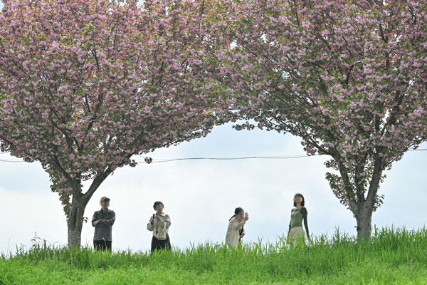 광주지역 최고기온이 25도로 예보된 18일 오후 광주 광산구 영산강변에서 시민들이 만개한 겹벚꽃 사이로 막바지 꽃놀이를 즐기고 있다. 2026.04.18. 뉴시스