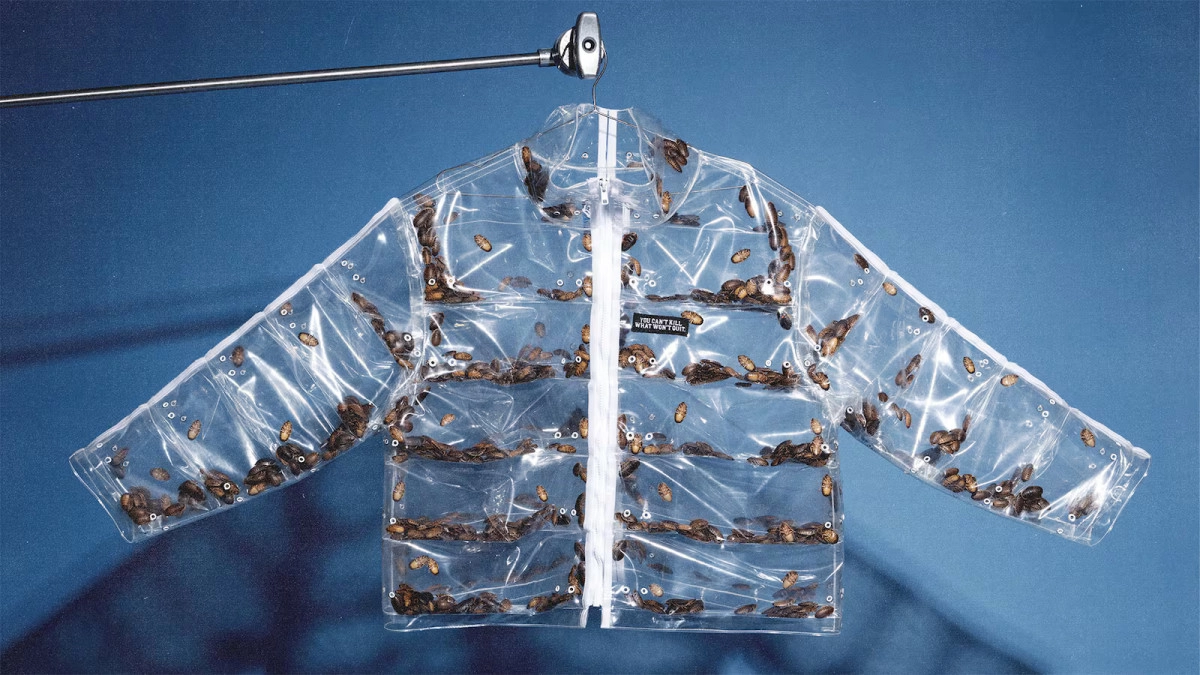 살아있는 바퀴벌레를 넣어 제작한 ‘로치코트(Roachcoat)’. 언커먼 뉴욕 제공