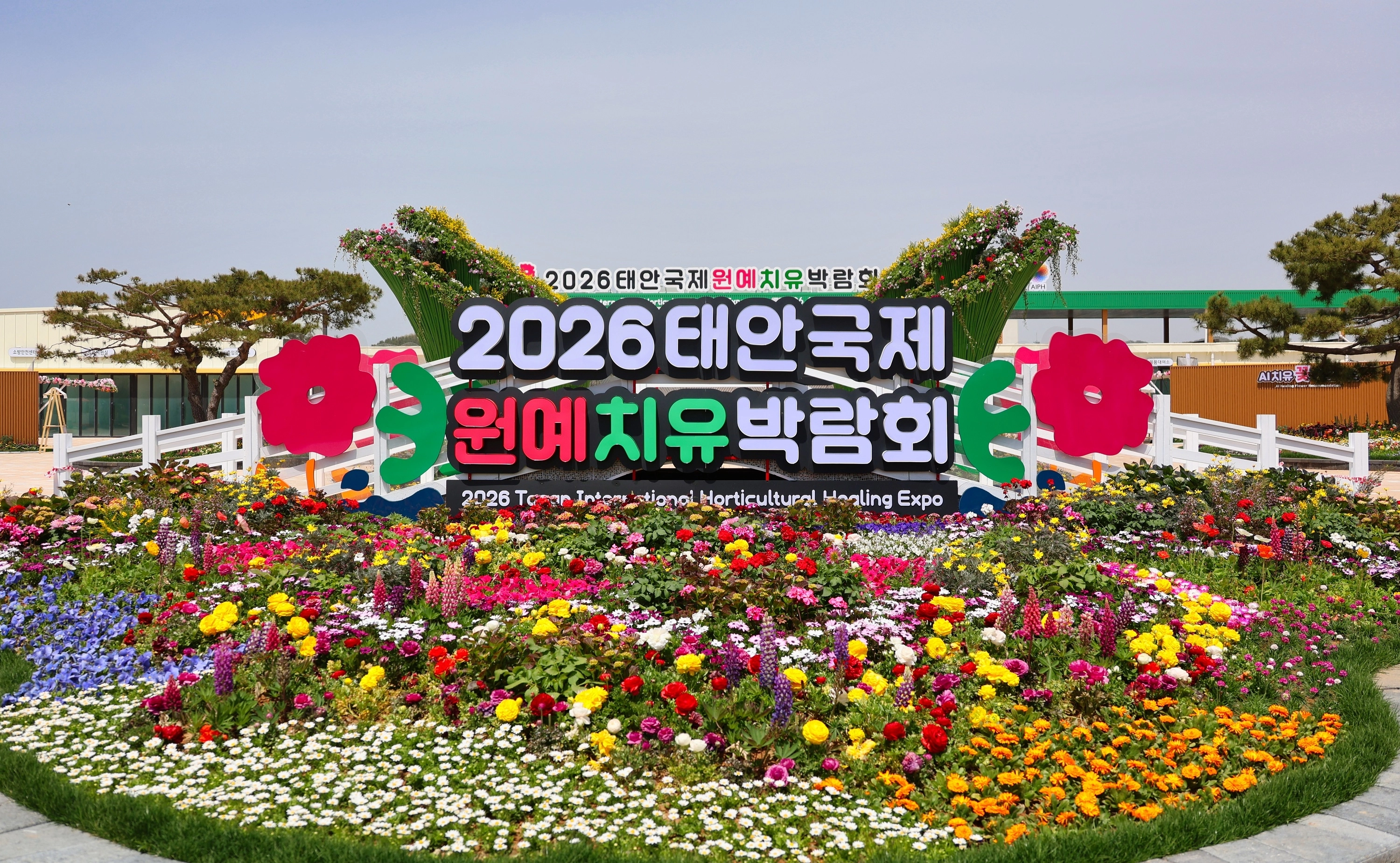 25일 개막하는 충남 태안국제원예치유박람회장에 꽃들이 피어 있다. 서울신문DB