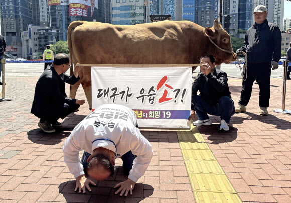 국민의힘 대구시장 경선에서 컷오프된 뒤 탈당해 무소속으로 출마한 김한구 예비후보가 24일 대구 범어네거리에서 황소를 이끌고 기자회견을 하고 있다. 황소와 함께 ‘대구가 우습소?!’라는 문구가 적힌 현수막을 내건 김 예비후보는 이 자리에서 “대구가 정치권에서 우습게 여겨지고 있다”며 더불어민주당과 국민의힘을 동시에 비판했다. 2026.4.24 연합뉴스