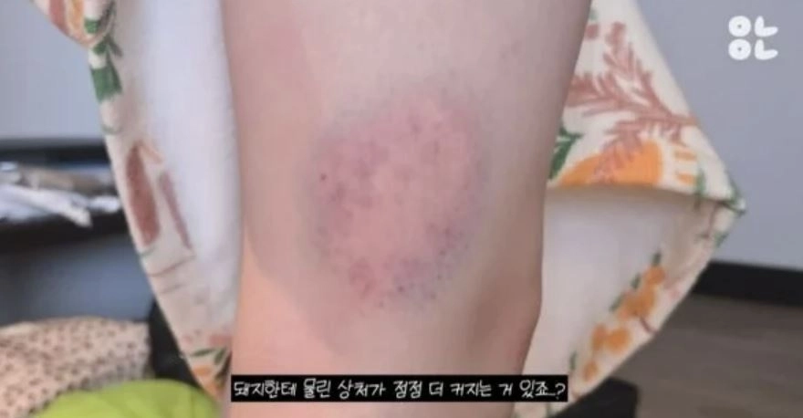 유튜브 ‘윤녕’ 캡처