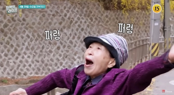 사진=TV조선 ‘퍼펙트 라이프’ 캡처