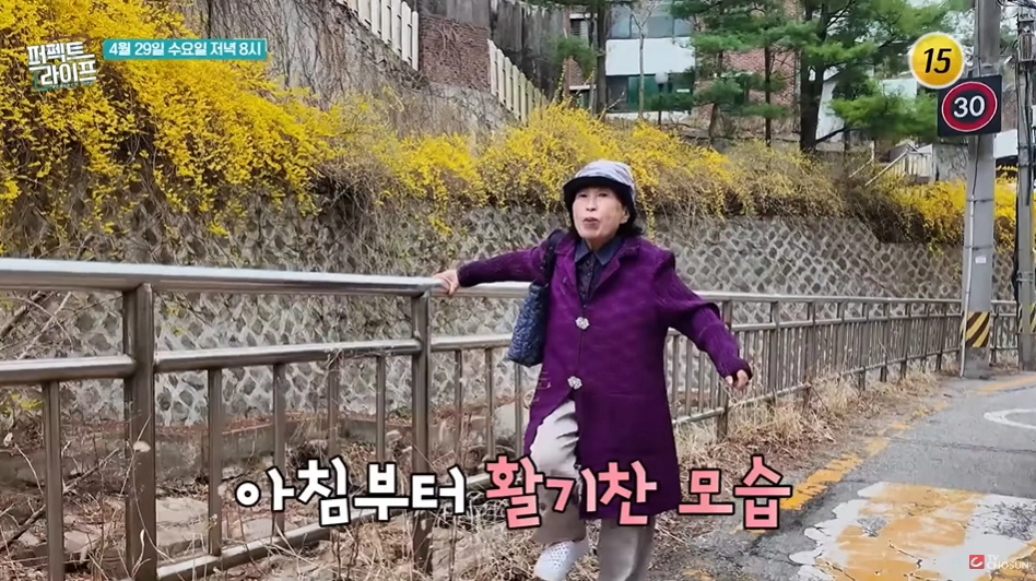 사진=TV조선 ‘퍼펙트 라이프’ 캡처