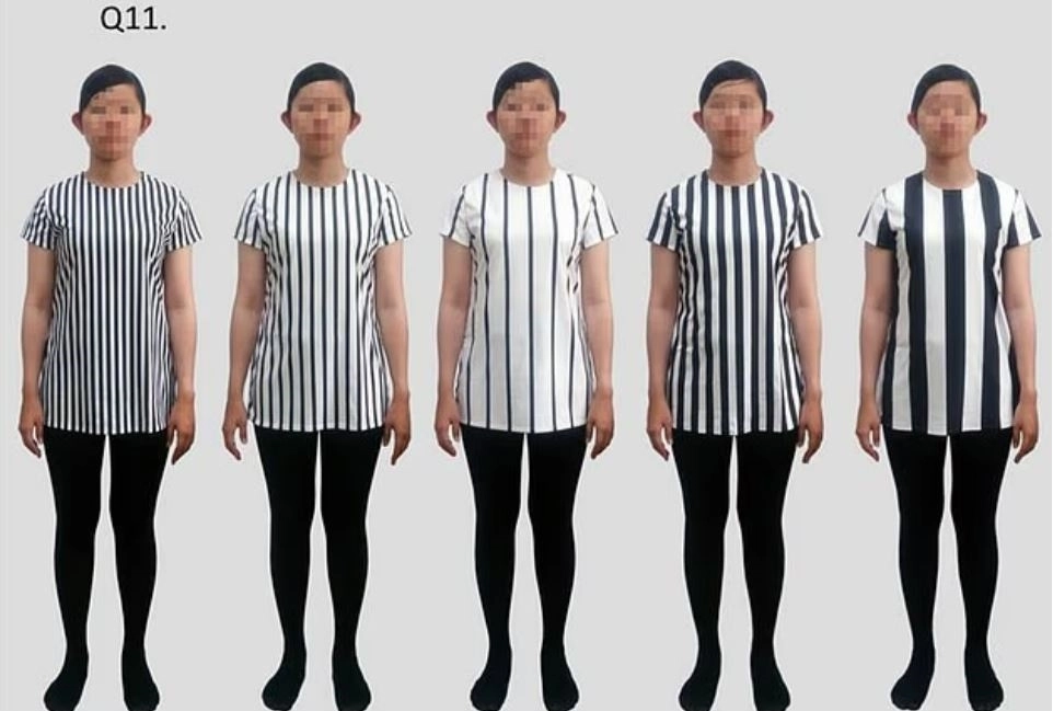 대만 국립윈린과학기술대학교 연구팀이 241명을 대상으로 실험한 결과, 가는 가로 줄무늬 상의가 가장 날씬해 보이는 것으로 나타났다. 학술지 ‘아이-퍼셉션’