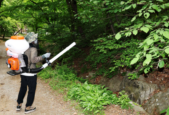 서울시와 노원구, 삼육대학교 관계자들이 7일 서울 노원구 불암산 일대에서 붉은등우단털파리(러브버그) 방제를 위한 유충구제제를 살포하고 있다. 2026.5.7 연합뉴스