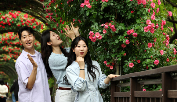 제18회 중랑 서울장미축제가 15일 개막한다. 12일 구민 모델들이 축제가 열릴 서울 중랑구 중랑장미카페 인근, 장미터널 아래에서 즐거운 시간을 보내고 있다. 2026.5.12  연합뉴스