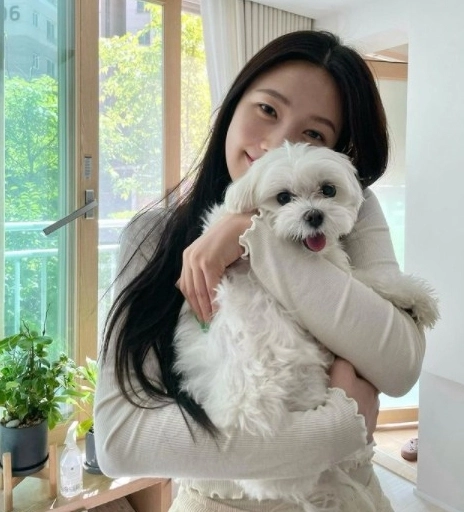 사진=조이 인스타그램 캡처