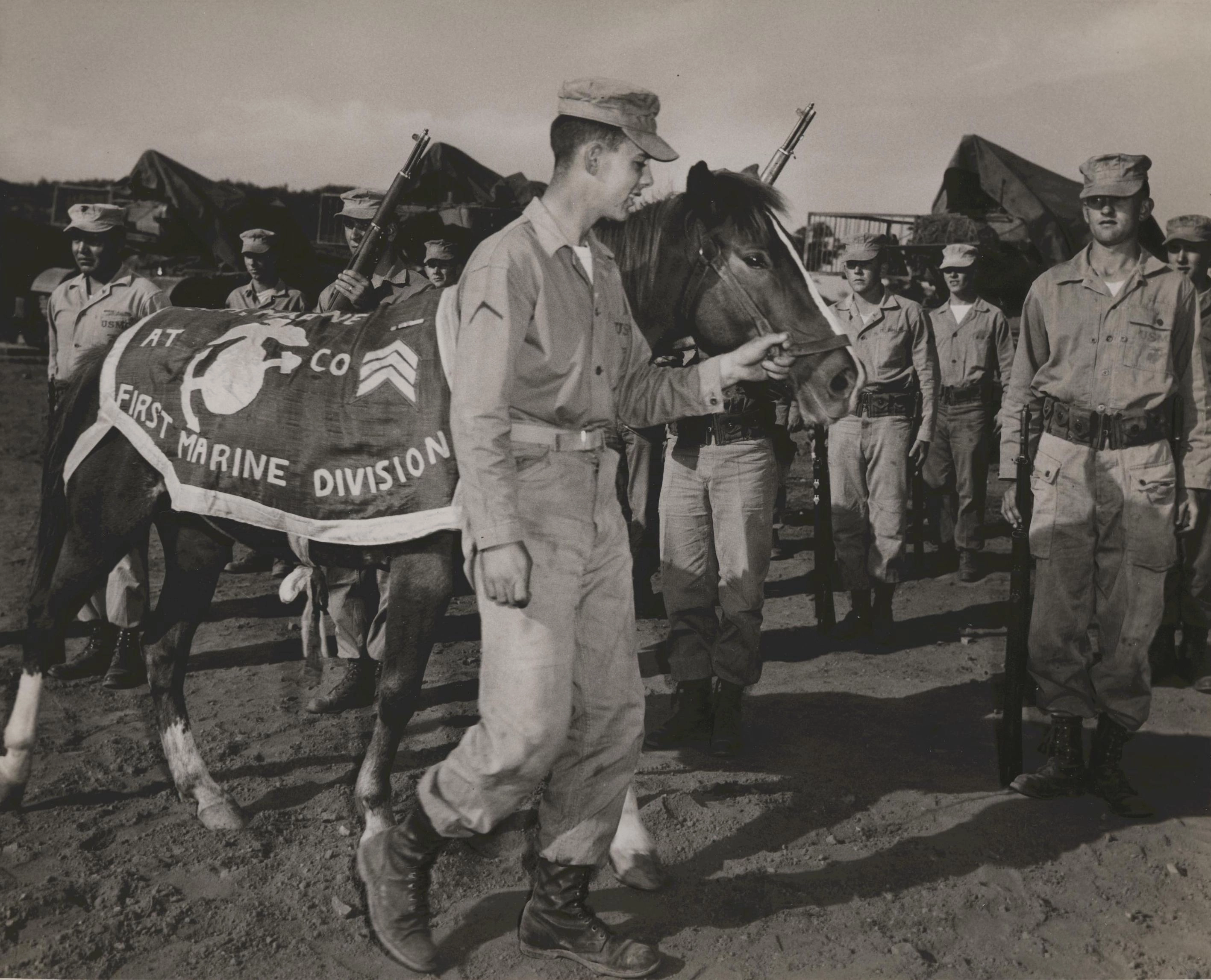 6·25전쟁이 끝난 뒤인 1954년 3월 레클리스는 임무 수행 공로를 인정받아 하사로 진급했다.
한국마사회 제주지역본부 제공
