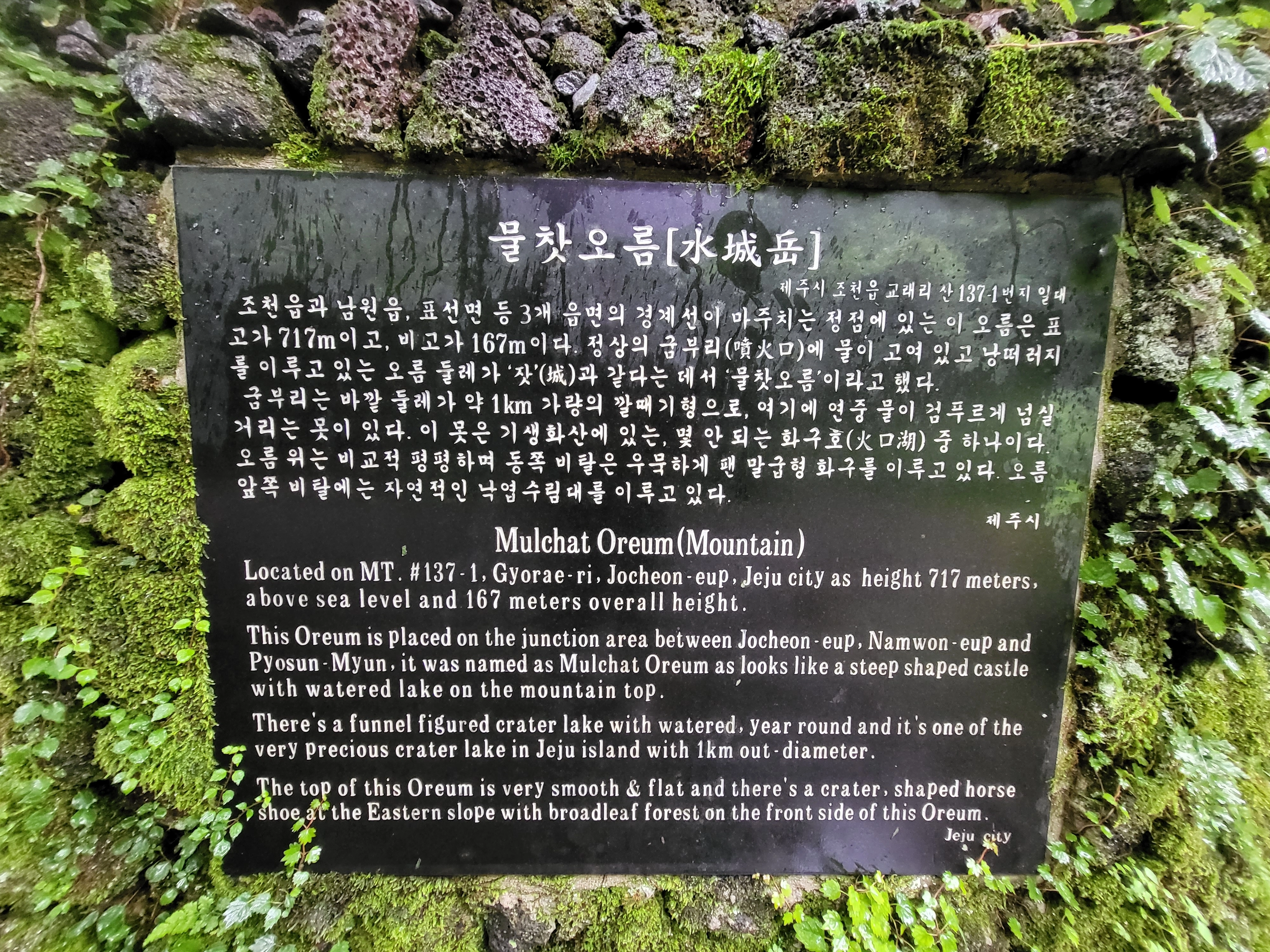 조천읍 교래리 사려니숲길 내 물찻오름은 2008년부터 자연휴식년제가 적용돼 일반인 출입이 제한돼 왔다. 제주 강동삼 기자