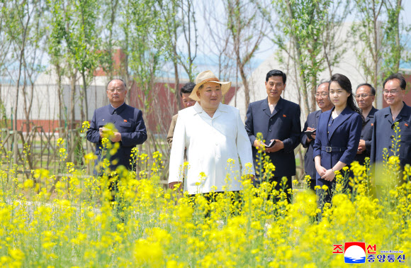 김정은 북한 국무위원장이 지난달 31일 신의주온실종합농장을 시찰했다고 조선중앙통신이 1일 보도했다. 이날 시찰에는 김 위원장의 아내 리설주 여사와 딸 주애가 동행했다. 2026.6.1. 평양 조선중앙통신 연합뉴스