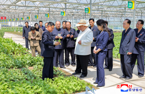 김정은 북한 국무위원장이 지난달 31일 신의주온실종합농장을 시찰했다고 조선중앙통신이 1일 보도했다. 이날 시찰에는 김 위원장의 아내 리설주 여사와 딸 주애가 동행했다. 2026.6.1. 평양 조선중앙통신 연합뉴스