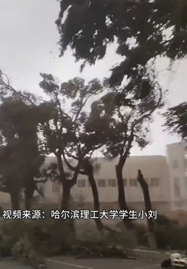기록적인 폭염에 시달렸던 중국 동북 지역 헤이룽장성 하얼빈에 때아닌 ‘모래 폭풍’이 발생해 눈길을 끌고 있다. 웨이보