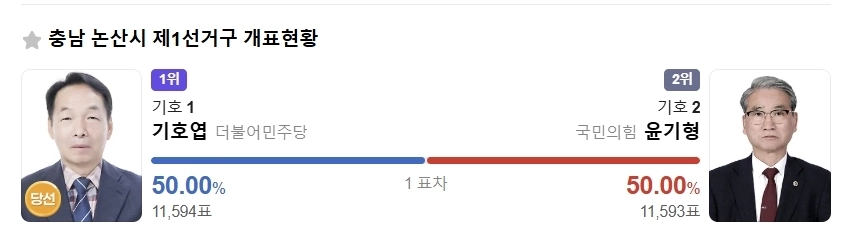 제9회 전국동시지방선거 충남 논산시 제1선거구 도의원 선거 결과. 다음 캡처