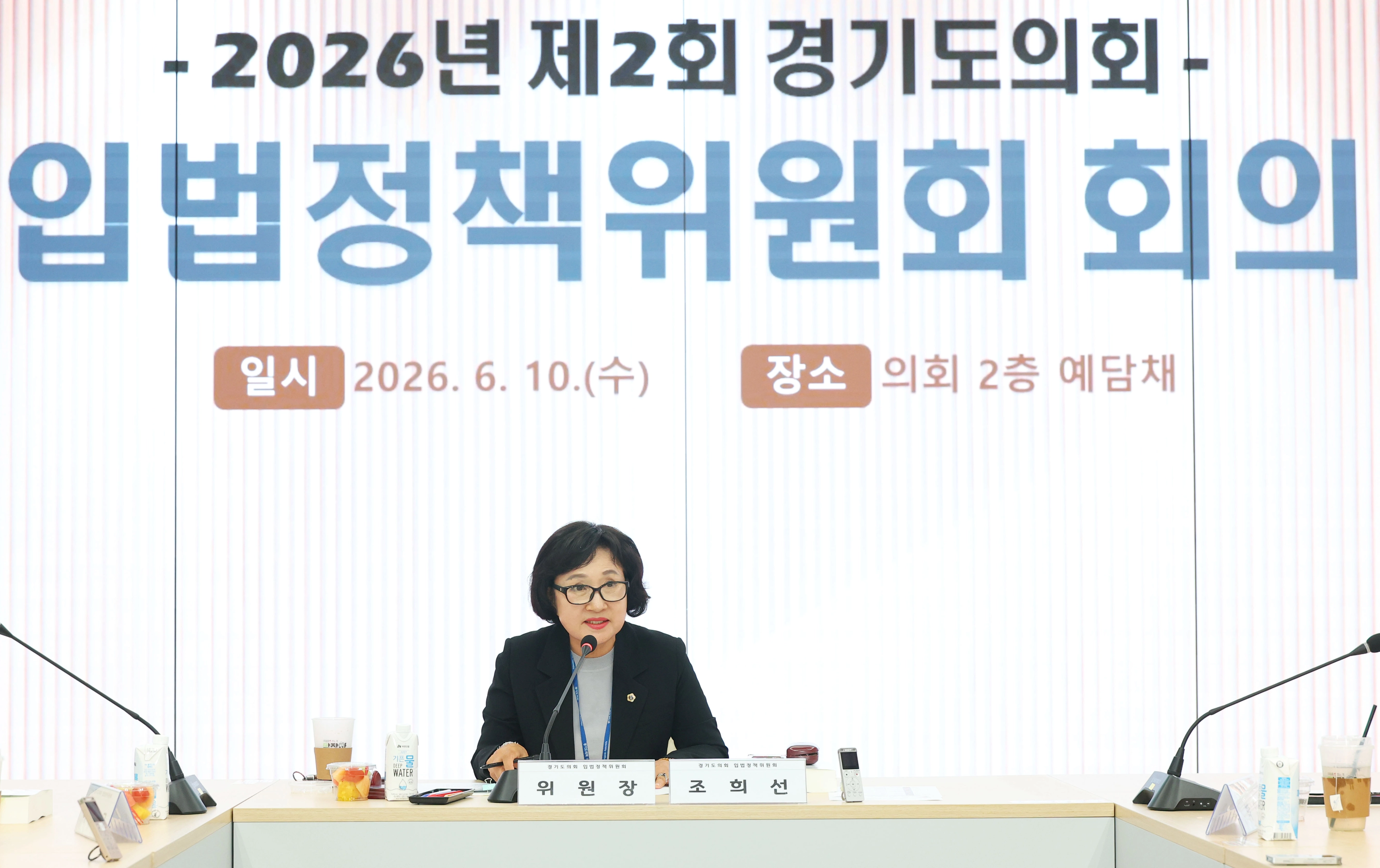 조희선 위원장이 ‘2026년 제2회 입법정책위원회 회의’에 참석해 사후입법영향분석 대상 조례안 심의를 주재하며 인사말을 하고 있다. (사진=경기도의회)