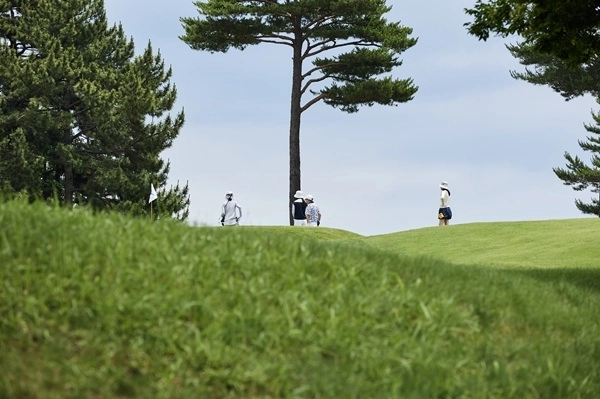 사우스케이프 제공