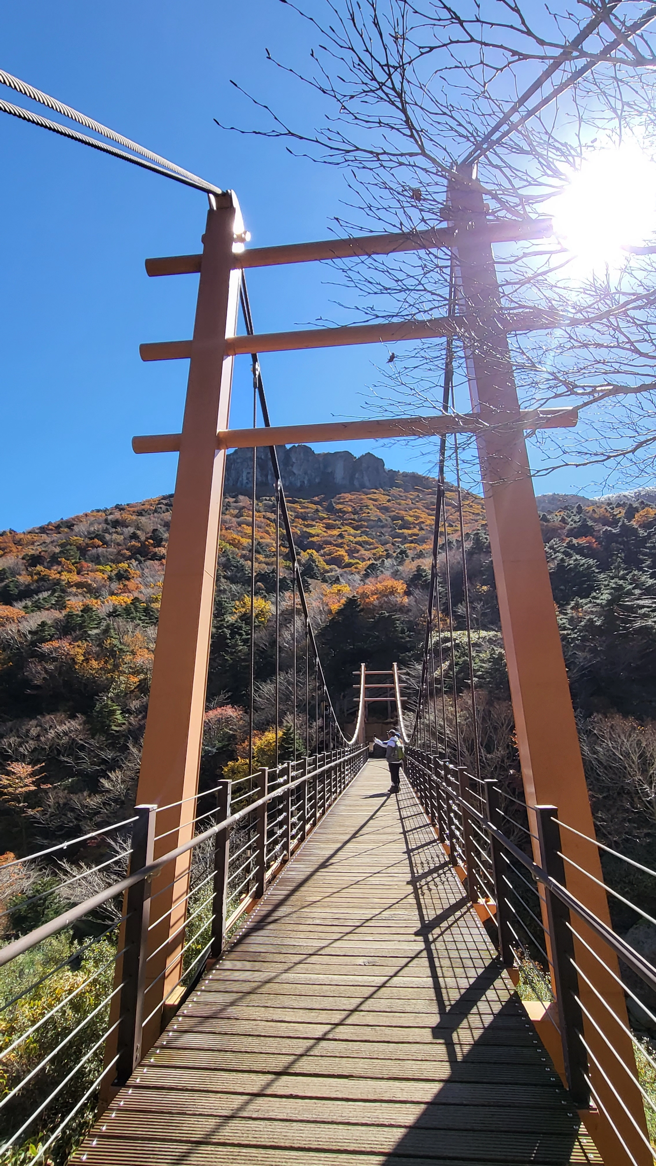 한라산 삼각봉 출렁다리 전경. 제주 강동삼 기자