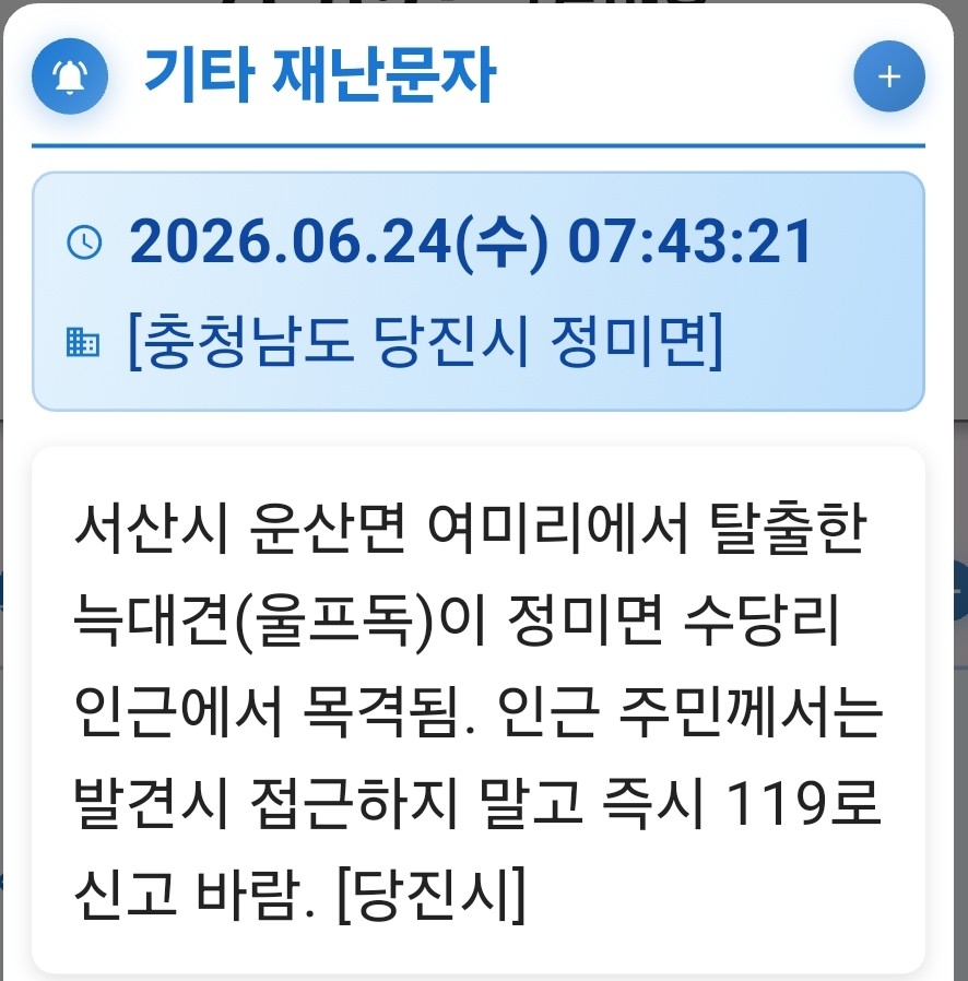 충남 서산시 운산면 여미리에서 탈출한 늑대개와 관련해 인근 당진시가 발송한 재난문자.