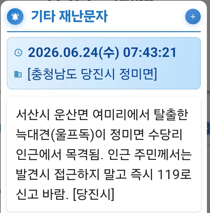 충남 서산시 운산면 여미리에서 탈출한 늑대개와 관련해 인근 당진시가 발송한 재난문자.