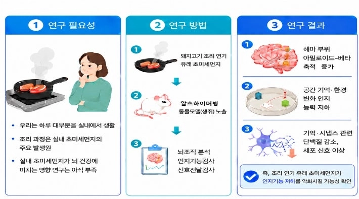 실내 초미세먼지 뇌 건강 영향 연구 모식도. 질병관리청 제공