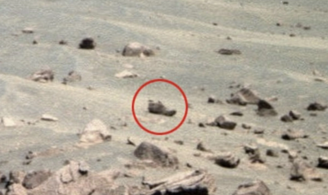 워링은 암석으로 보이는 물체가 신발이라고 주장하기도 했다. NASA