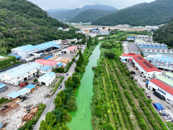 6일 오후 부산·경남 지역 식수원인 경남 물금·매리 취수장 주변 낙동강 지류가 녹조로 초록색을 띠고 있다. 장마철이 시작됐음에도 낙동강 하류 녹조가 확산하면서 물금·매리 지점의 유해남조류 세포 수가 7월 관측치 중 역대 최고 수준이다. 부산시는 물금·매리 지점 조류경보 단계가 ‘경계’단계로 유지되고 있으며 수돗물 공급에는 이상이 없다고 설명했다. 2026.7.6 연합뉴스