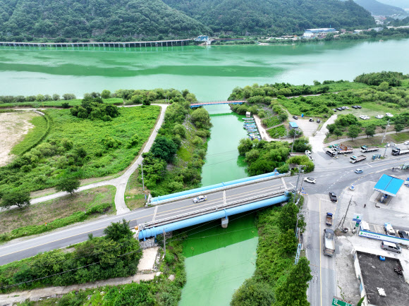 6일 오후 부산·경남 지역 식수원인 경남 물금·매리 취수장 주변 낙동강 지류와 본류가 녹조로 초록색을 띠고 있다. 장마철이 시작됐음에도 낙동강 하류 녹조가 확산하면서 물금·매리 지점의 유해남조류 세포 수가 7월 관측치 중 역대 최고 수준이다. 부산시는 물금·매리 지점 조류경보 단계가 ‘경계’단계로 유지되고 있으며 수돗물 공급에는 이상이 없다고 설명했다. 2026.7.6 연합뉴스