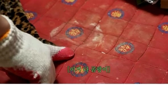 유튜브 ‘전원주인공’ 캡처