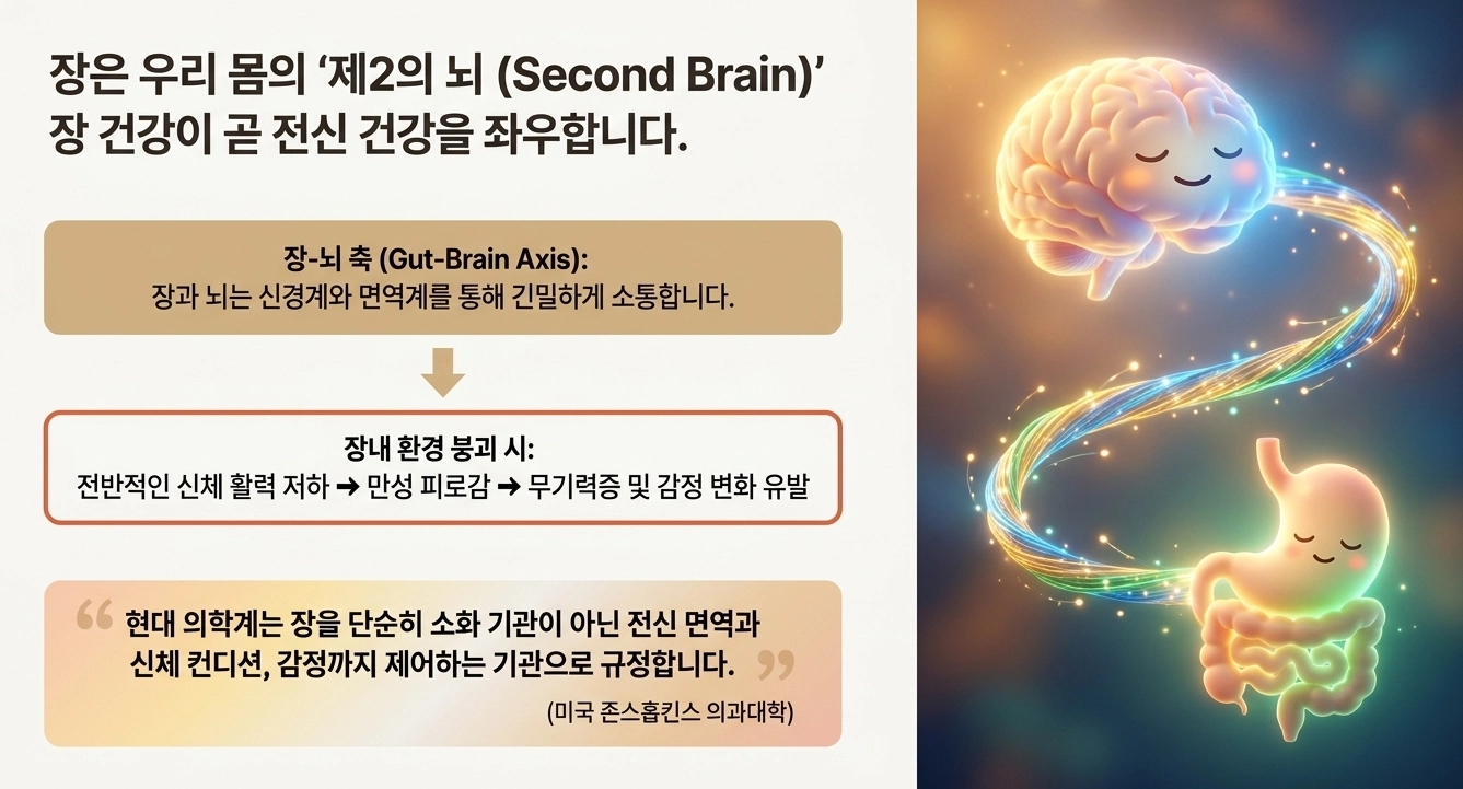기사관련 AI 생성 슬라이드