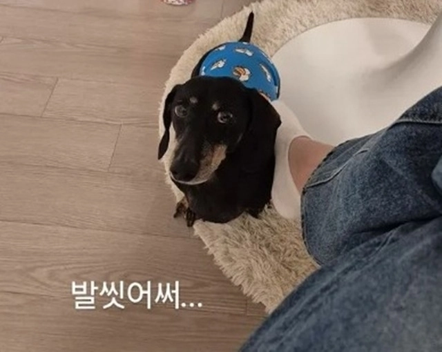 김연아 인스타그램 영상 캡처