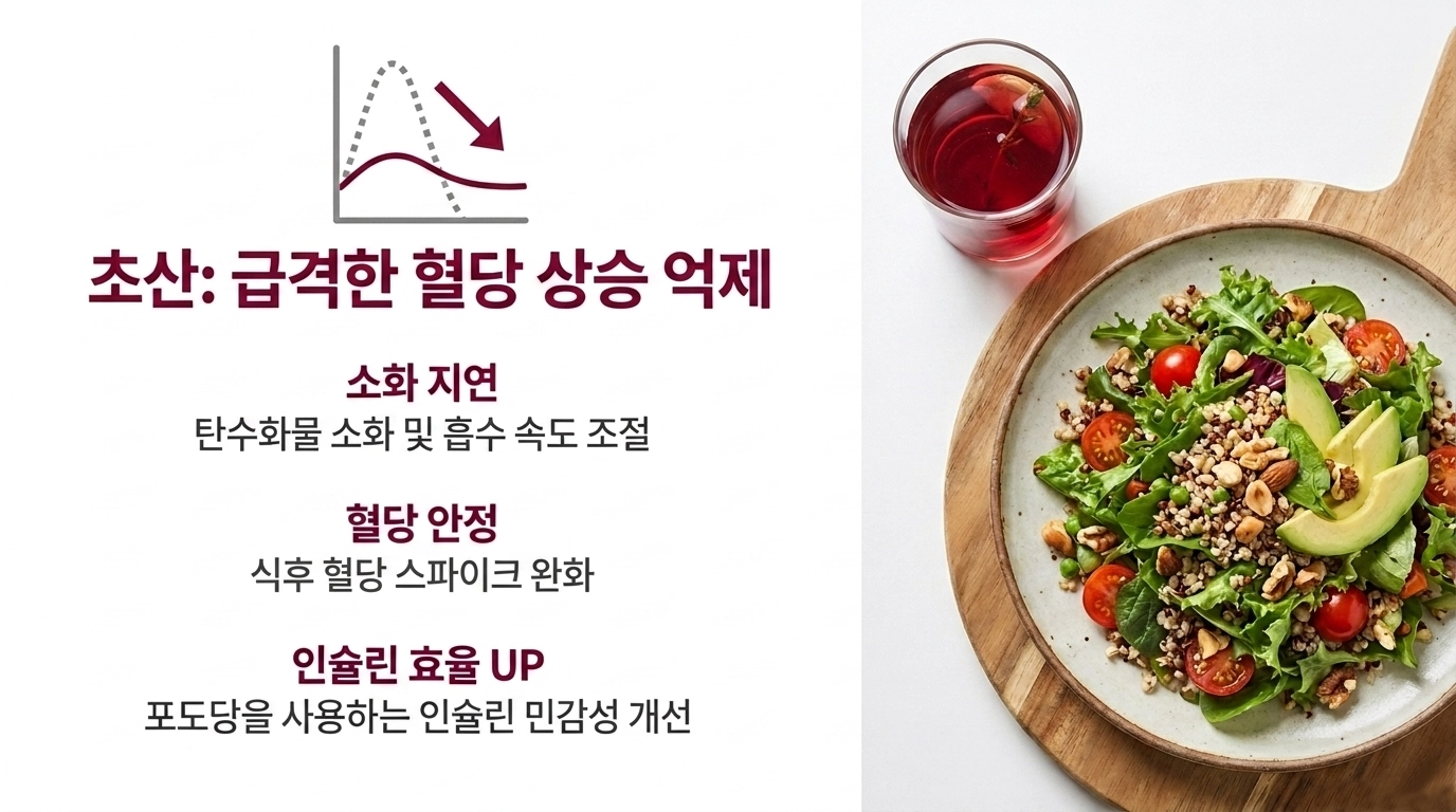 초산의 작용 과정.