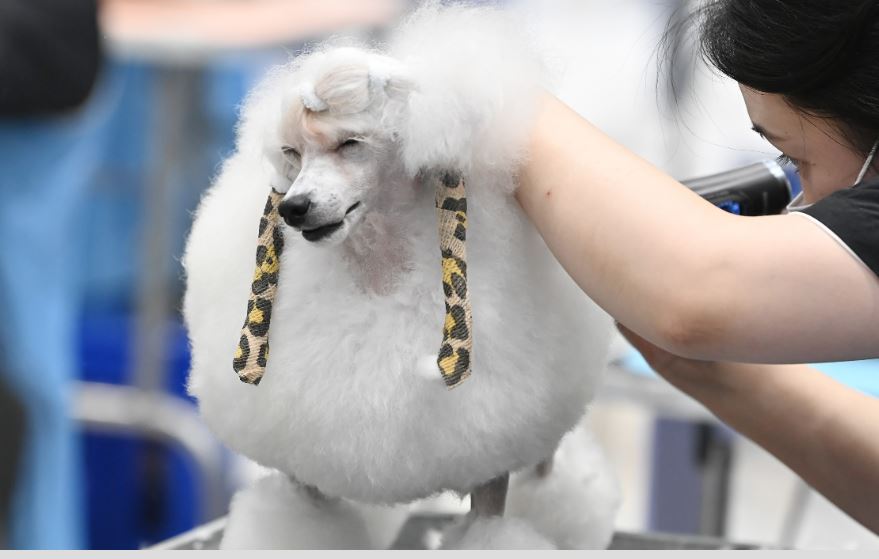 ‘예뻐질 수 있다면’