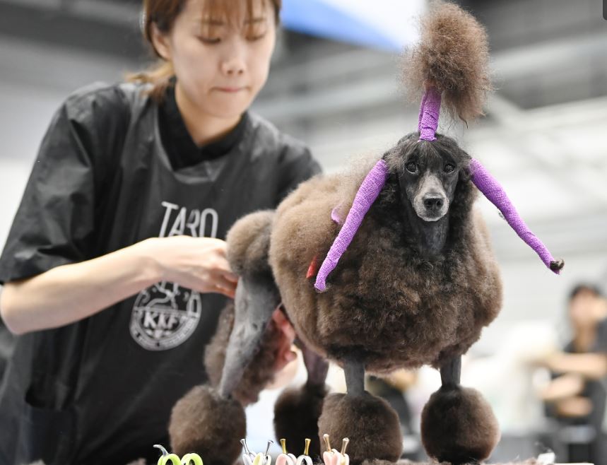 ‘예뻐지는 중’