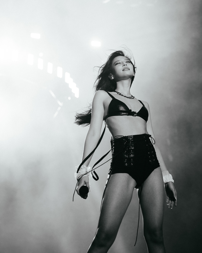 lollapalooza SNS