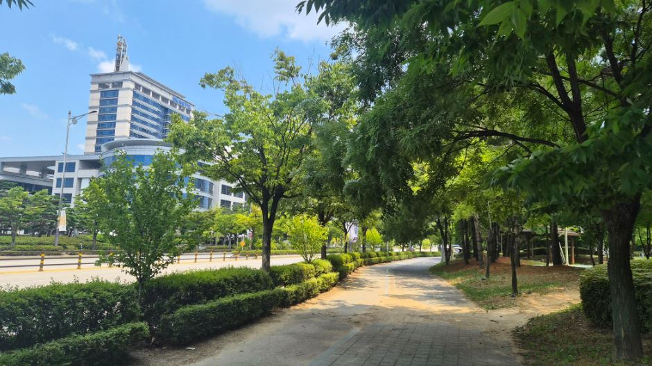 폭염중대경보 발효에 한산한 전주 도심