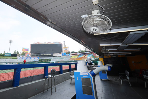 폭염에 프로야구 모든 경기 이틀간 취소