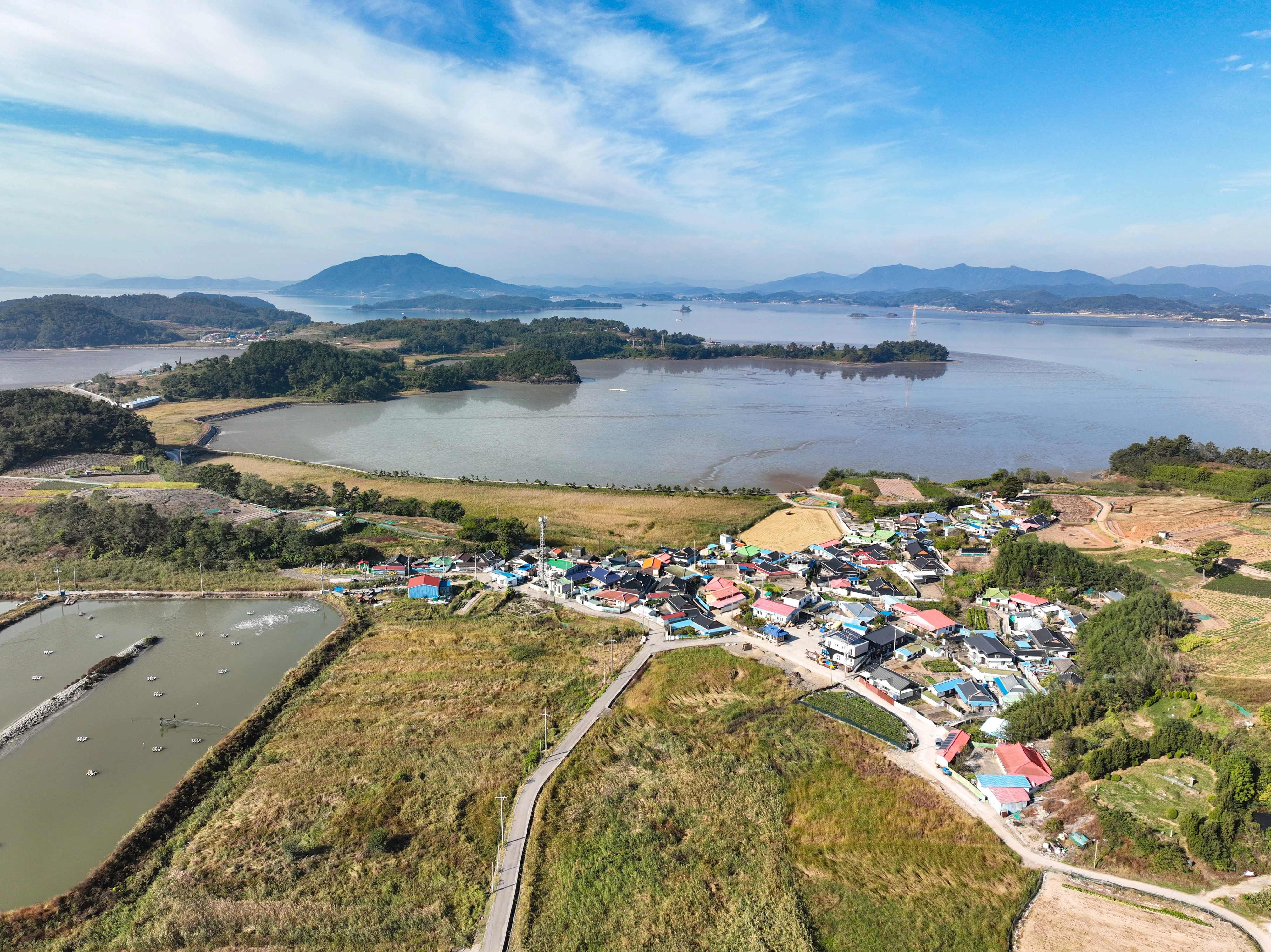 벌교읍 장도 전경