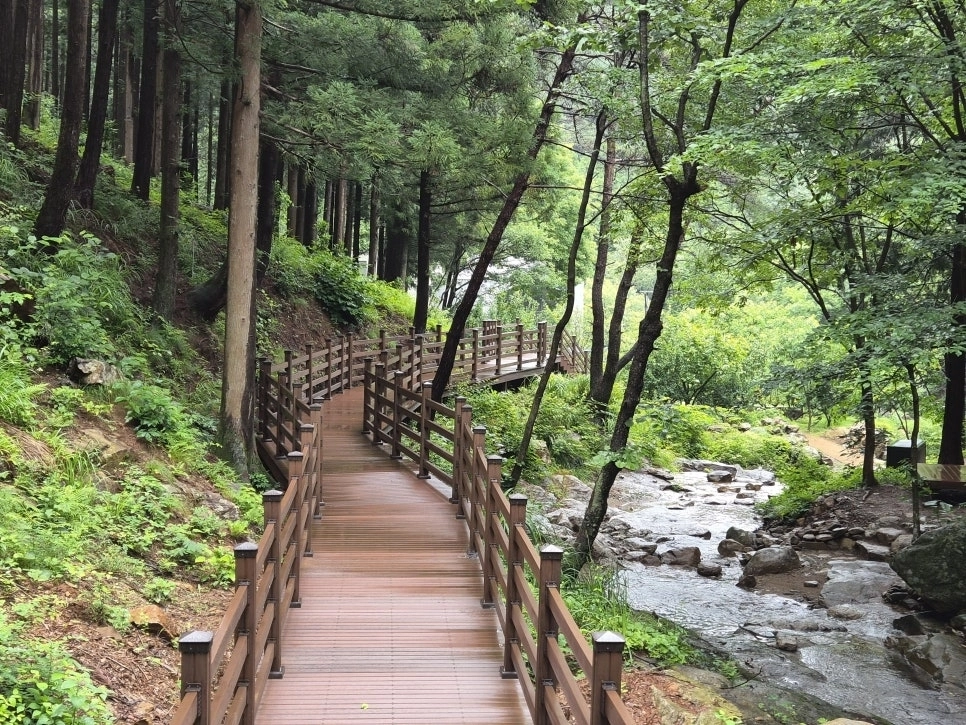 용계산 치유의 숲 데크길